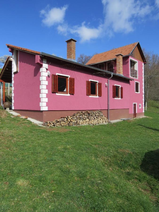 Planinska Kuca Mitke Villa Prolesje ภายนอก รูปภาพ